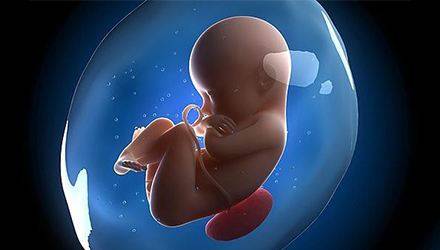 案例